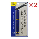 ビナ薬粧 メンズ眉墨 ブラック ×2セット