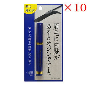 ペン ブラック マスカラ 眉毛 アイブロウ アイブロウ 眉マスカラ ビナ薬粧 メンズ眉墨 10セット アットビューティー株式会社 ビナ薬粧 アイメイク ブラック カラー 男性 ペン ブラック マスカラ 眉毛 アイブロウ アイブロウ 眉マスカラ ビナ薬粧 メンズ眉墨 10セット アットビューティー株式会社 ビナ薬粧 アイメイク ブラック カラー 男性