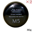 資生堂プロ ステージワークス トゥルーエフェクター 80g マット ×2セット
