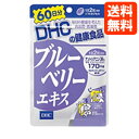 楽天あっと美人【ネコポス便送料無料】DHC サプリメント ブルーベリーエキス 60日分 パソコンやTVゲームをよくする方に