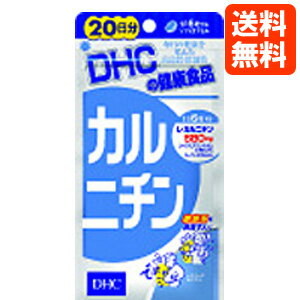 【ネコポス便送料無料】DHC サプリ