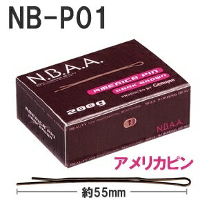 NBAA AJs NB-P01