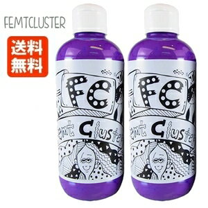 FCカラーキープ ヴァイオレットラベンダー シャンプー 250ml＆ トリートメント 250ml フェムトクラスター 送料無料 Femt Cluster