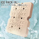 DOD(ディーオーディー) NEW ICE PACK(XL)フツーノアイスXL(2個セット) ベージュ CL1-994-BG