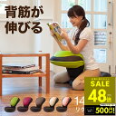 【P最大48倍&クーポン!! 5/23 20時〜】背筋がGUUUN 美...(3)
