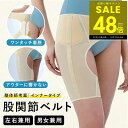 【P最大48倍&クーポン!! 5/23 20時〜】股関節 痛み 腰痛 ...(4)