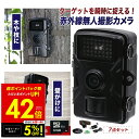 【先着5%OFFクーポン!! 7/13 10:00〜】防犯カメラ 屋外 監視 自動撮影 留守 駐車場 玄関 物置 庭 赤外線 無人カメラ カメラ 撮影 音声付き...