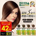 【先着5%OFFクーポン!! 7/13 10:00〜】マルベールロイヤルカラー EXプラス 白髪染め 白髪染 白髪隠し トリートメント マルベールロイヤルカラー...