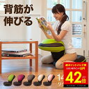 【超ポイントバック祭り〜本日23:59まで!!】背筋がGUUUN 美姿...(3)