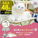 【P最大48倍&クーポン!! 7/19 20時〜】しっぽふりふり あまえんぼうねこちゃん デジレクト あなたのパートナー 猫 ぬいぐるみ 癒し ヒーリング テレ...