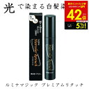 【クーポンで5%OFF!! 7/29 10:00】ルミナ ヘアカラー リタッチ 20g 部分用ヘアカラー 光で染める 白髪染め ヘアクリーム スティックタイプ ...