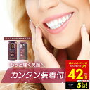 【クーポンで5%OFF!!〜7/31 23:59】【本物・正規品】インスタントスマイルDX スマイルdx インスタントスマイル 男女兼用 上歯専用 疑似入れ歯 ...