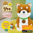 【最大1000円OFFクーポン!!〜23:59】しばいぬ コウタ バンダナ付 こんにちワン!しばいぬコウタ バンダナつきセット 柴犬 ぬいぐるみ ペット しゃべ...
