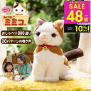 【マラソン最大P48倍&クーポン】こんにちニャン! みけねこミミコ 電池付き 音声認識 おしゃべりパートナー 三毛猫 みみこ しゃべる ぬいぐるみ かわいい 三...