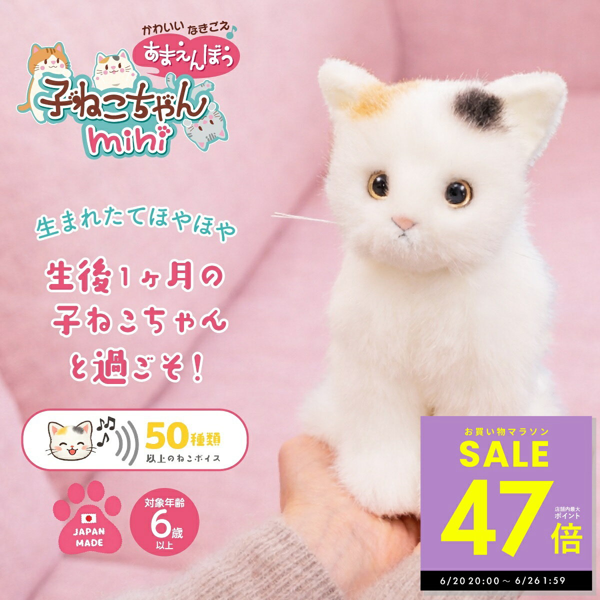 楽天市場】甘えん坊猫ちゃんの通販