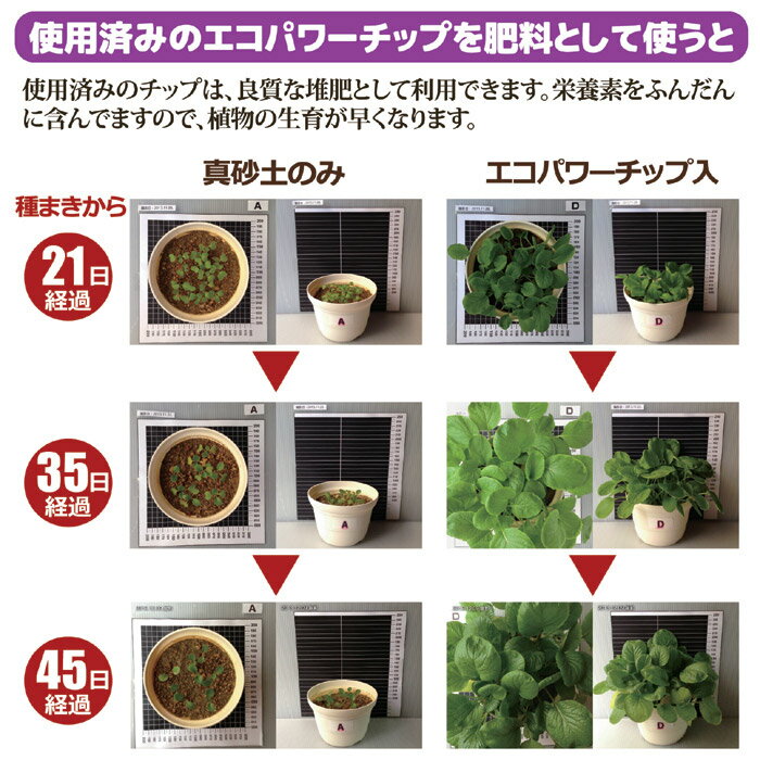 エコクリーン自然にカエル基本セット手動式SKS-101型生ゴミ生ごみ処理家庭用助成金補助金送料無料