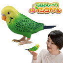 毎日おしゃべり 天才インコちゃん タカラトミー ヒーリングパートナー ペット 電動 ロボット 癒し 童謡 脳トレ ものまね 父の日 母の日 敬老の日 ギフト プレゼント 送料無料 母の日 プレゼント