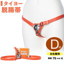 脱腸 ベルト バンド サポーター タイヨー脱腸帯 片側用 左右兼用 D号 75cm以下 ヘルニアベルト ヘルニアバンド サポート ヘルニア 痔 ぢ 脱腸帯 一般医療機器 p10 敬老の日 プレゼント