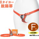 脱腸 ベルト バンド サポーター タイヨー脱腸帯 片側用 左右兼用 F号 100cm以下 ヘルニアベルト ヘルニアバンド サポート ヘルニア 痔 ぢ 脱腸帯 一般医療機器 p10 敬老の日 プレゼント