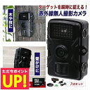 防犯カメラ 屋外 監視 自動撮影 留守 駐車場 玄関 物置 庭 赤外線 無人カメラ カメラ 撮影 音声付き動画 マイク内蔵 防犯対策 害獣対策 夜間撮影 レコー...