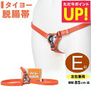 【クーポンで5%OFF!!~8/17 23:59】脱腸 ベルト バンド サポーター タイヨー脱腸帯 片側用 左右兼用 E号 85cm以下 ヘルニアベルト ヘルニアバンド サポート ヘルニア 痔 ぢ 脱腸帯 一般医療機器 p10 敬老の日 プレゼント 早割