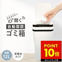 ゴミ箱 かざすだけで開く 自動開閉ゴミ箱 屋外 室内 屋内 持ち手付き キッチン 台所 リビング 洗面所 脱衣所 自動 センサー 清潔 生ごみ 生ゴミ 臭い ト...