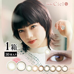 【送料無料】【YM】アイレ ネオサイトワンデーシエルUV Neosight 1day Ciel UV (1箱30枚入り)