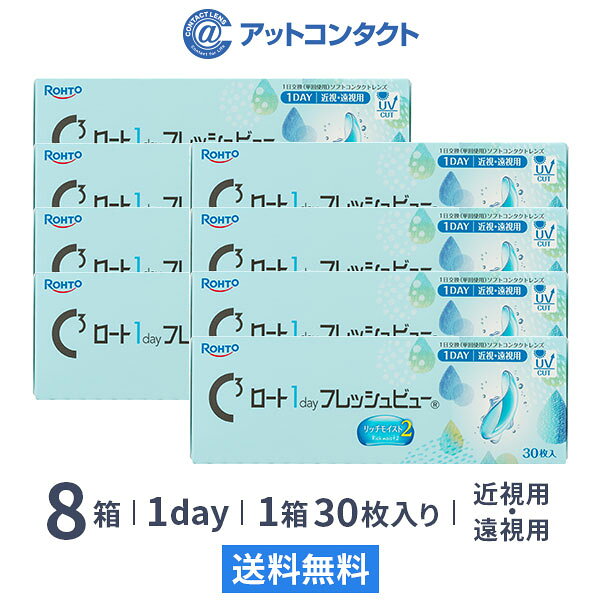 【送料無料】ロート ワンデーフレッシュビュー リッチモイスト2 30枚入 8箱セット 1日使い捨てコンタクトレンズ（1day / ROHTO / 近視 / 遠視 ）
