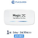 ワンデーメニコン マジック 1日使い捨て 30枚入 1箱