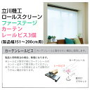 【立川機工ロールスクリーン】カーテンレールビス 3個入りセット (製品幅151〜200cm用) メール便 ファーステージ用