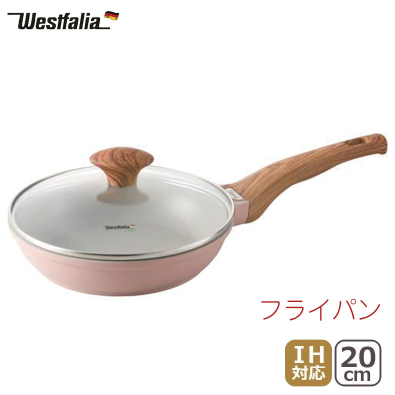 ٻΥۡ ȥեꥢ ե饤ѥ ѥ󥱡ѥ IHб 20cm ԥ WF20PCP api06164