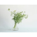 フラワーベース 花器 花瓶 フラワーアレンジメント 花用 花 アレンジメント用品 資材 Tomボトルベースφ21(15)xH30.5 ブランド fs2600055 ホワイエ(3)