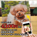 【3個目無料】フォトパネル テキスタイル ピクチャーボード L ホワイト ペット 犬 猫 絵画 インテリア アートボード ファブリックパネル ペットプリントラボ...