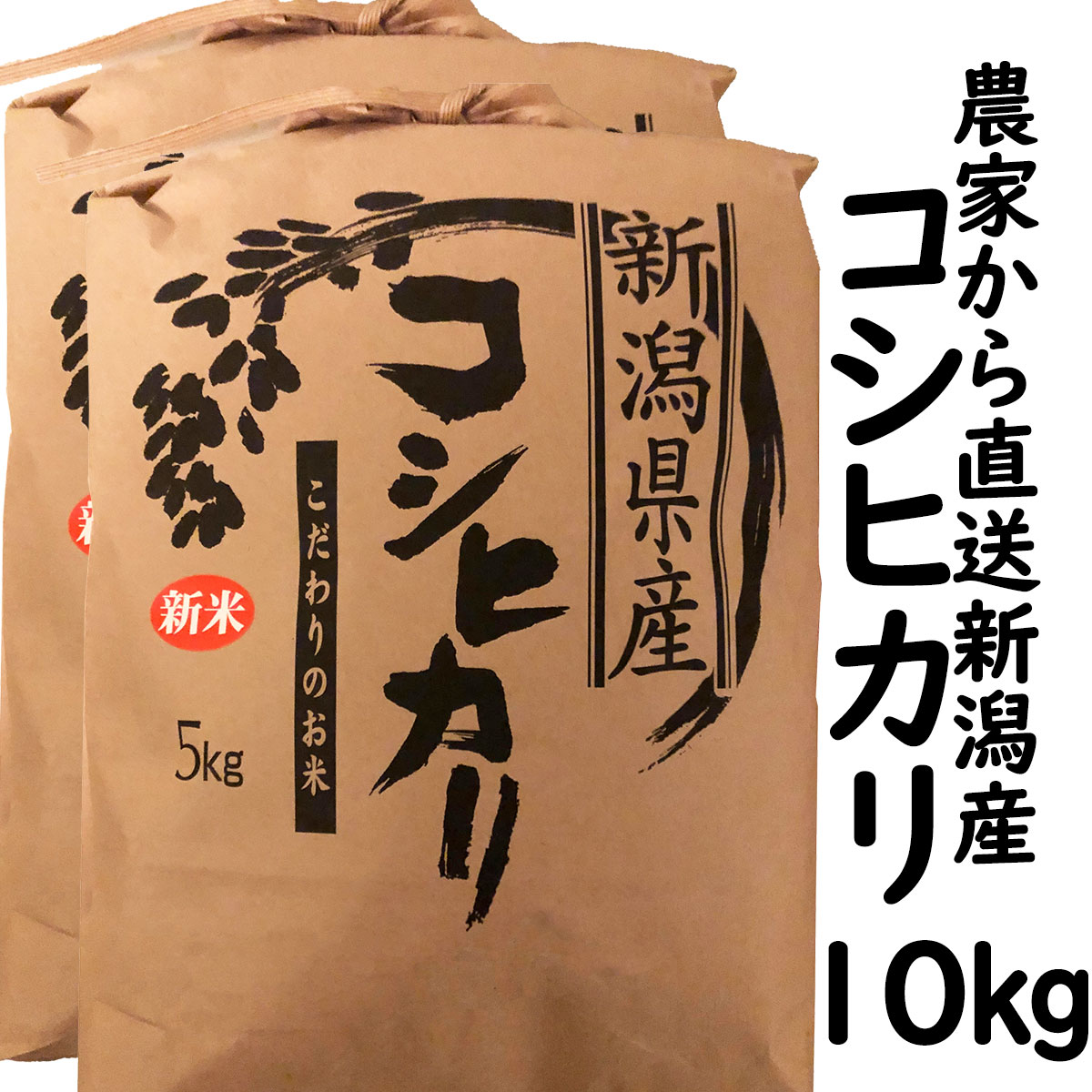 新米 白米 農家直送 新潟産 コシヒカリ 10kg(5kg×2) (新潟米 お米 令和6年産 R6)