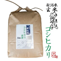 玄米5kg 新潟産 コシヒカリ「米杜氏」契約栽培米 (新潟米 お米 令和5年産 R5)