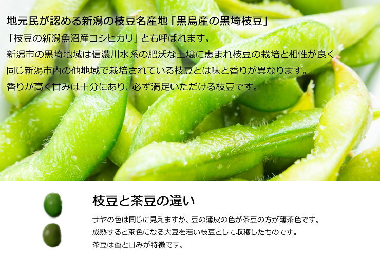 【送料無料】甘味濃厚 話題の枝豆「くろさき茶豆」 A級品 朝採り 新潟黒埼産 枝豆 ...