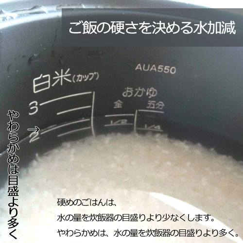 白米新潟県 佐渡産 コシヒカリ 5kg (新潟米 お米 令和7年産)