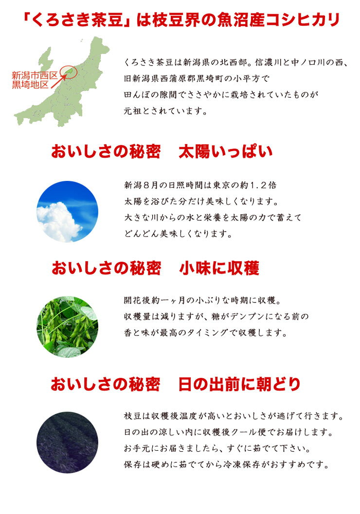 【送料無料】甘味濃厚 話題の枝豆「くろさき茶豆」 A級品 朝採り 新潟黒埼産 枝豆 ...
