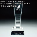 クリスタルトロフィー 優勝カップ 感謝状 誕生日 記念日 出産祝 新築祝い 開店祝い 周年記念 開業祝 昇進祝 金婚式 銀婚式 表彰状 社内表彰 還暦祝 記念品...