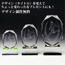 トロフィー サッカー スポーツ大会 名入れ 彫刻料込み 記念品 表彰 卒業記念品 卒団記念品 誕生日プレゼント スポーツ大会 などの 記念品 として!★完全 オリジナルデザイン アレンジデザイン OK 父の日 定年退職祝い などに!