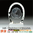 トロフィー 地球儀 スポーツ大会 名入れ 彫刻料込み 記念品 表彰 卒業記念品 卒団記念品 誕生日プレゼント スポーツ大会 などの 記念品 として!★完全 オリ...