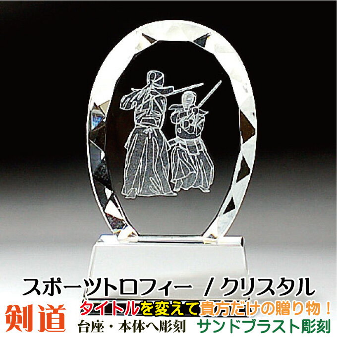 トロフィー 剣道 スポーツ大会 名入れ 彫刻料込み 記念品 