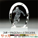 トロフィー サッカー スポーツ大会 名入れ 彫刻料込み 記念品 表彰 卒業記念品 卒団記念品 誕生日プレゼント スポーツ大会 などの 記念品 として!★完全 オ...