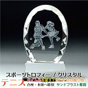 トロフィー テニス スポーツ大会 名入れ 彫刻料込み 記念品 表彰 卒業記念品 卒団記念品 誕生日プレゼント スポーツ大会などの記念品として!★完全 オリジナル...