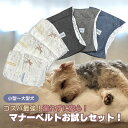 【新発売】犬用 マナーベルト スタートセット 〜 コスパ最強 お試し用 紙おむつ付き 紙おむつセット 〜 漏れない 安心 介護 老犬介護 お出かけ 留守番 ドッ...