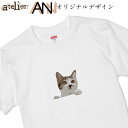 IWiTVc Z^[Ђ˂ ˂ lR L cat IWifUC  킢 v[g Mtg a NX}XTCY 90 100 110 120 130 140 150 160 S M L XL XXL XXXLJ[ zCg ubN O[ bh