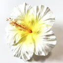 コサージュ（髪飾り） ハイビスカス へアー クリップ（L）〈ホワイト＆イエロー〉ヘアーピン ハワイアン フラダンス アクセ コサージュ 髪飾り 造花