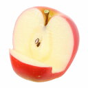 【メール便・ラッピング不可】食品サンプル屋さんのスマホスタンド(りんご)食品サンプル スマートフォン iPhone Android 果物 フルーツ アクセサリー...