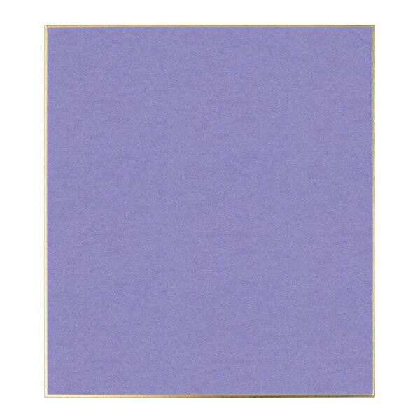 大色紙 カラー 藤紫 10枚 242×272mm 『