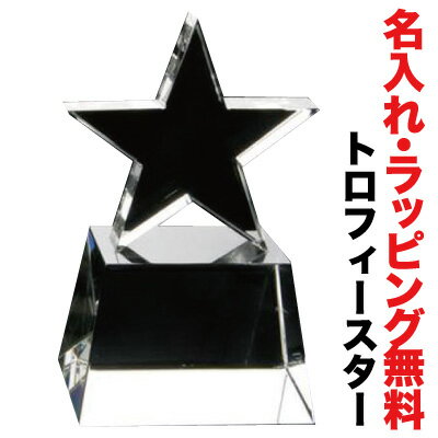 トロフィー 送料無料 名入れ クリスタル 名入れ無料 スポーツ 記念品 ボール 美麗ケース付 プレゼント オリジナルギフト 贈り物 記念品 インテリア《noo(ヌー)》【楽ギフ_包装】【楽ギフ_名入れ】トロフィースター【t0008】